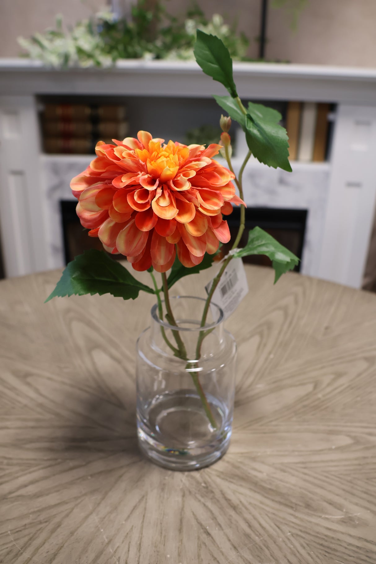 Orange Cream Dahlia In Glass Vase