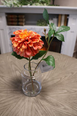 Orange Cream Dahlia In Glass Vase