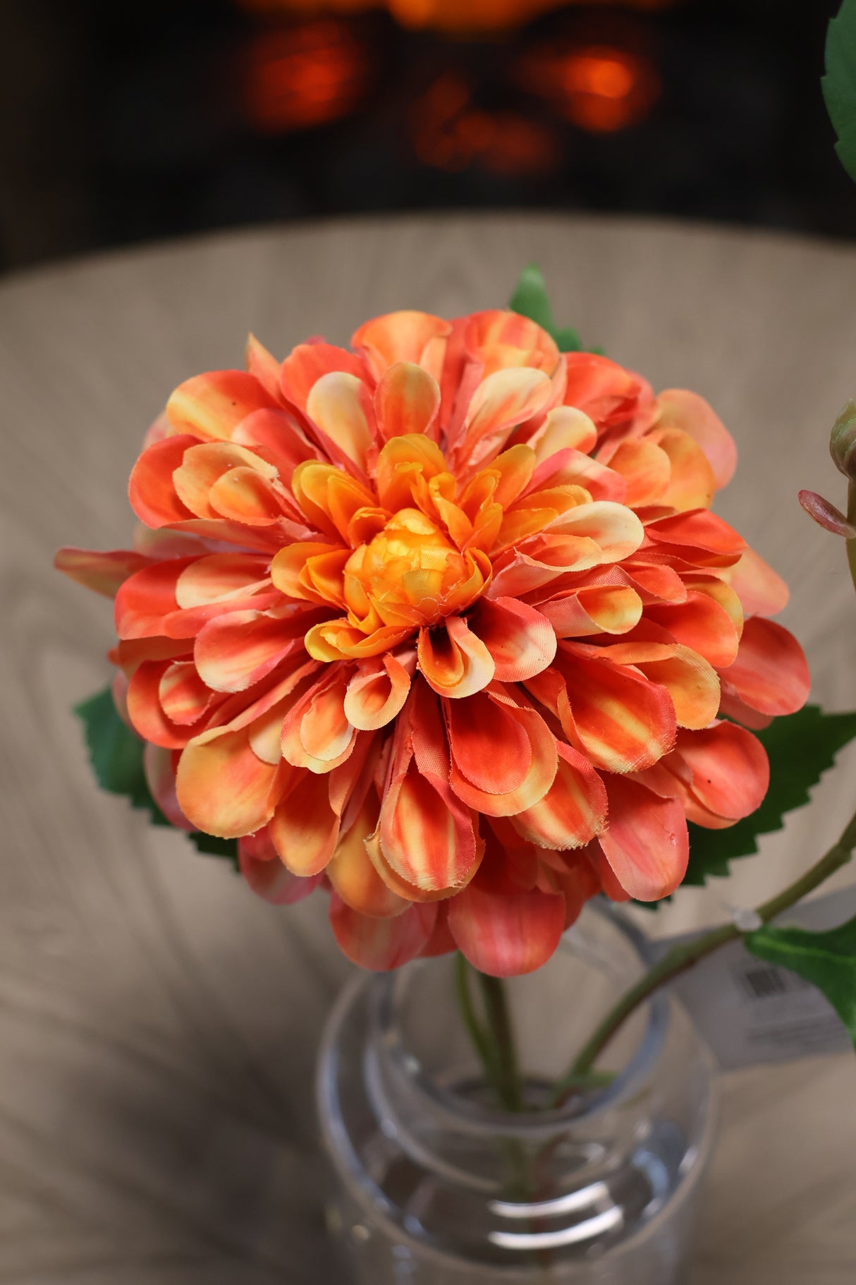 Orange Cream Dahlia In Glass Vase