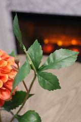 Orange Cream Dahlia In Glass Vase