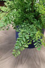 Real Touch Magic Maidenhair Bush