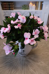 New Guinea Impatiens Bush