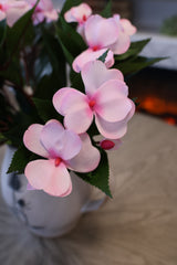 New Guinea Impatiens Bush