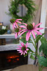 Pink Passion Rudbeckia Spray