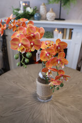 Orange Phalaenopsis Orchid Spray