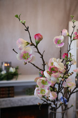 Pink Day Quince Blossom Spray