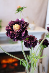 Eggplant Scabiosa Spray