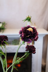 Eggplant Scabiosa Spray