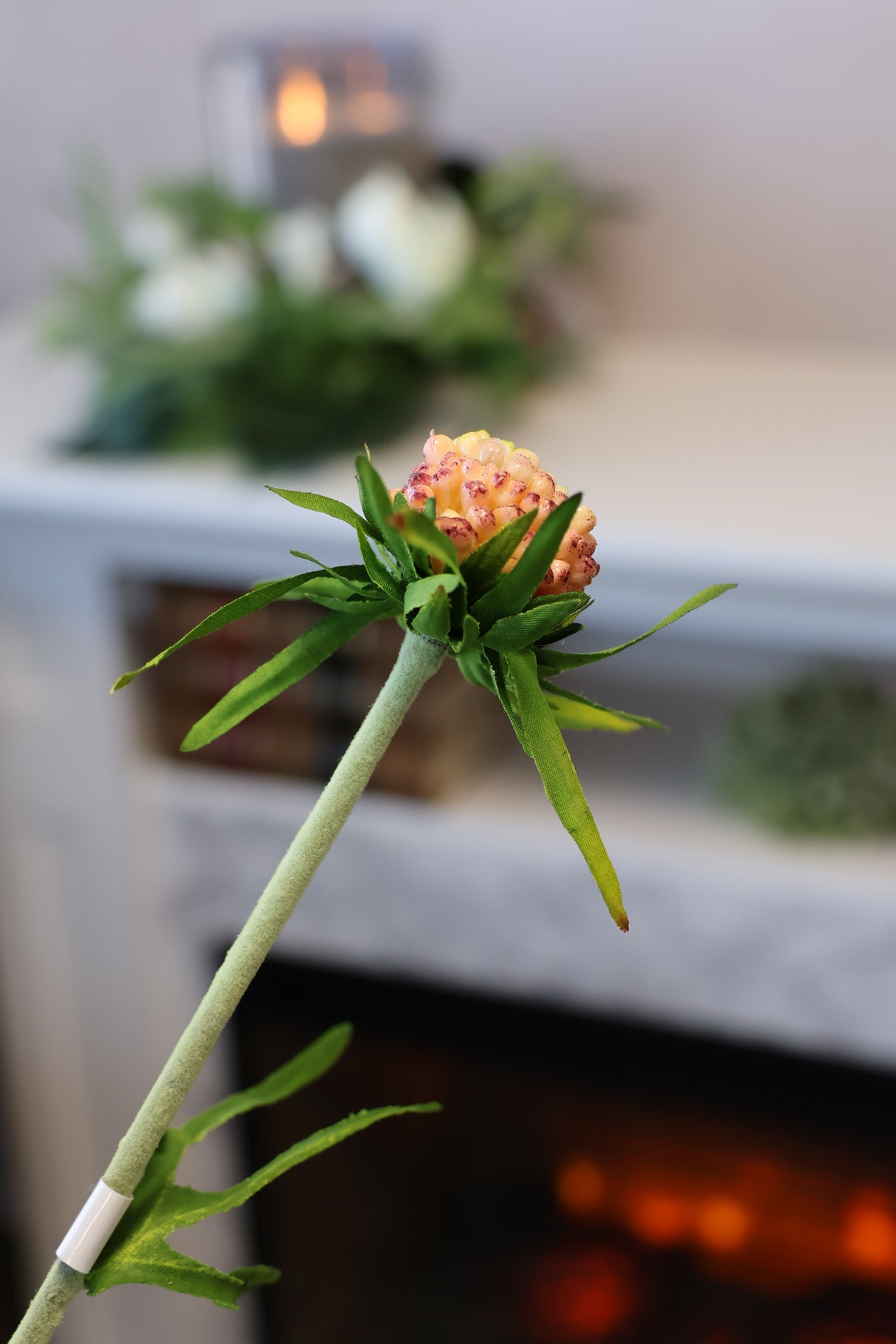 Eggplant Scabiosa Spray