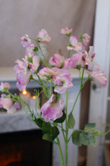 Lavender Sweetpea Spray