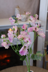 Lavender Sweetpea Spray