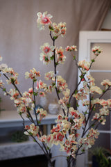 Apricot Quince Blossom Spray