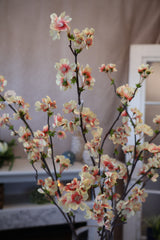 Apricot Quince Blossom Spray