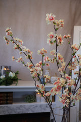 Apricot Quince Blossom Spray