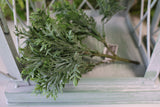 UV Protect Wormwood Bush