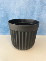 Black Round Flower Pot