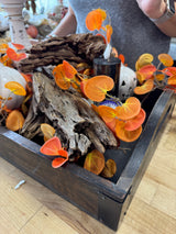6' Setting Sun Leaves Garland