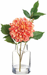 Orange Cream Dahlia In Glass Vase