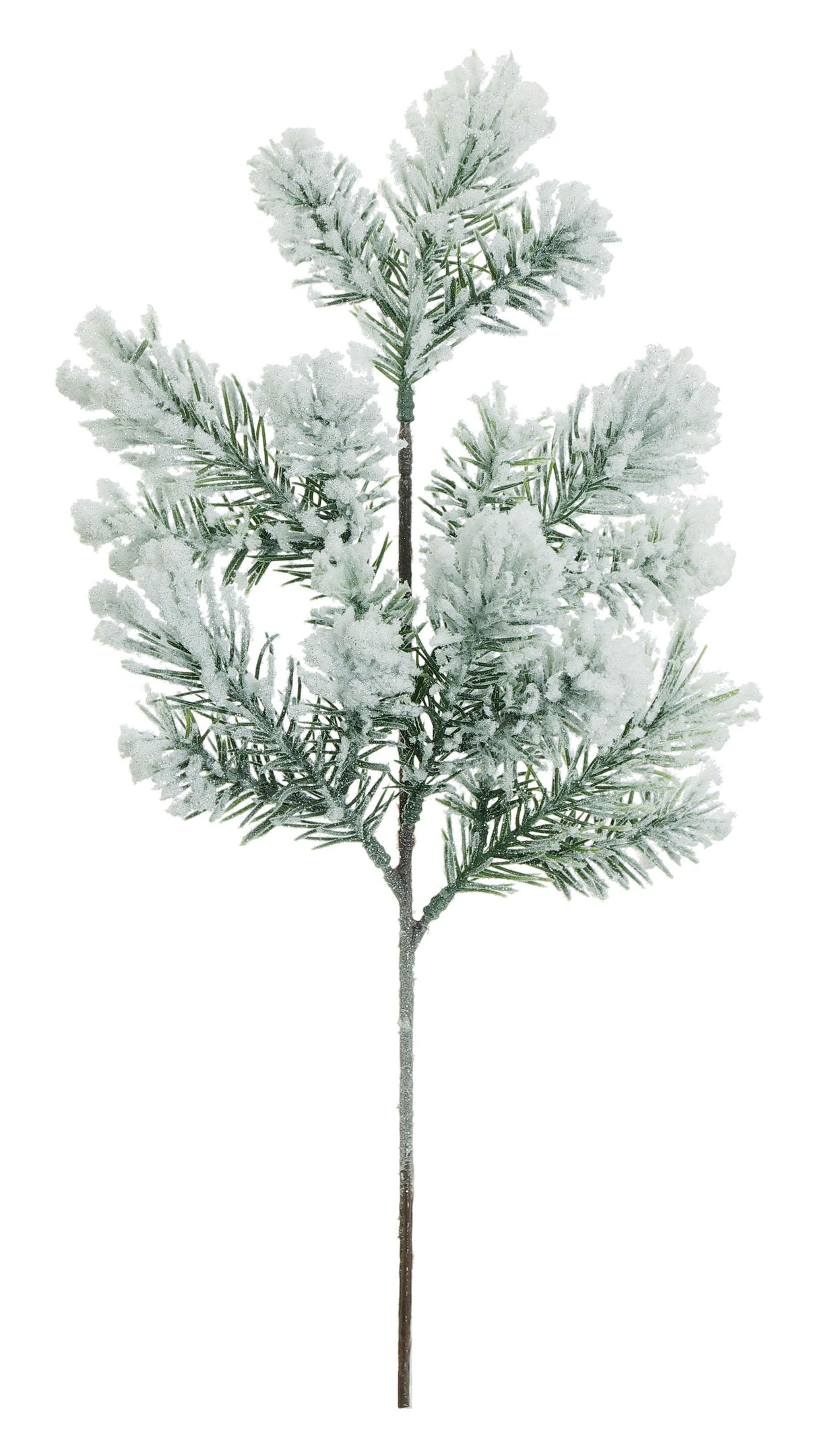 First Snow Noble Pine Spray