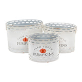 Farm Fresh Pumpkins Bucket- 3 Sizes