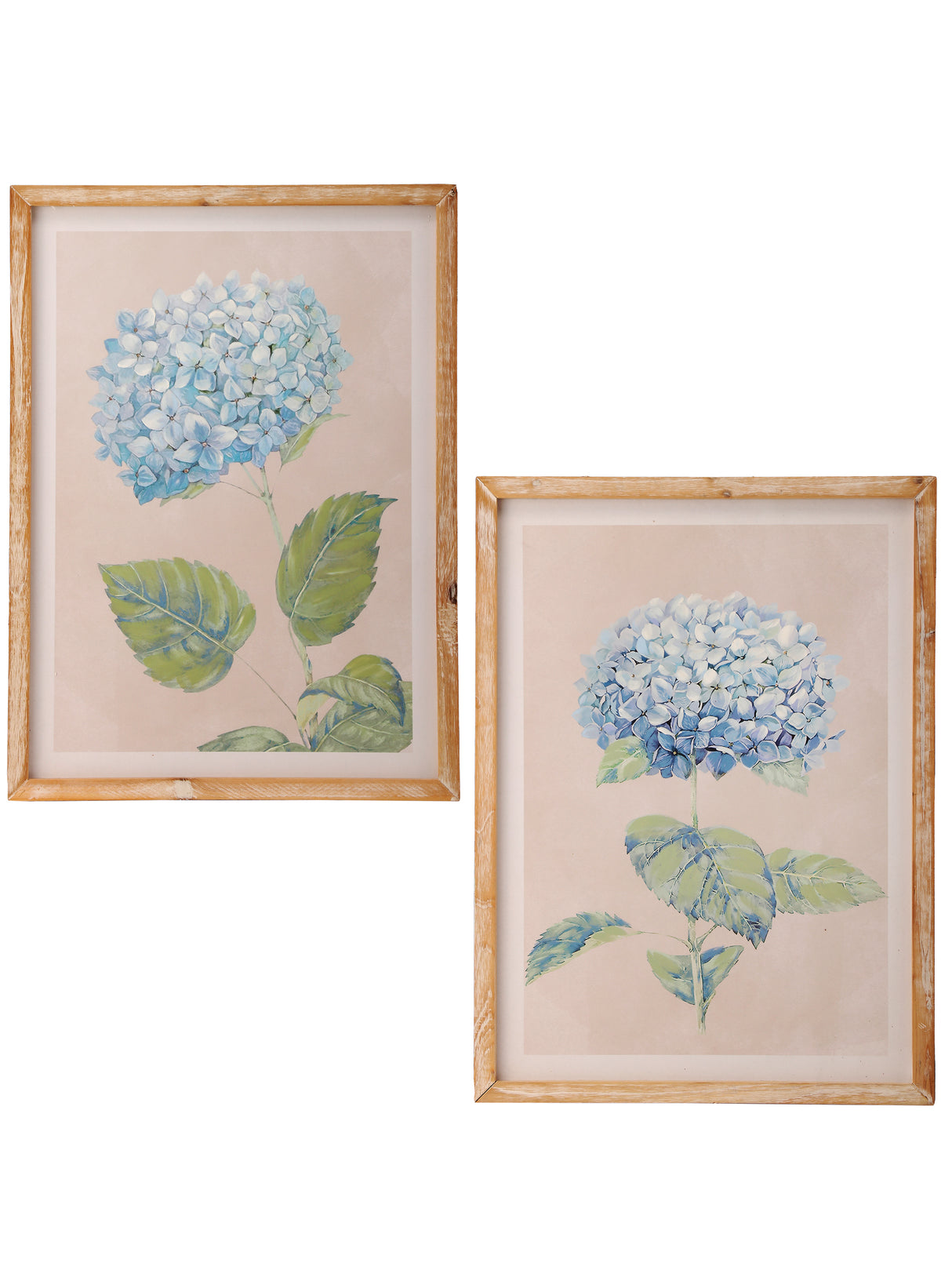 Framed Paint Hydrangea Print