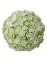 Light Green Chick Succulent Orb