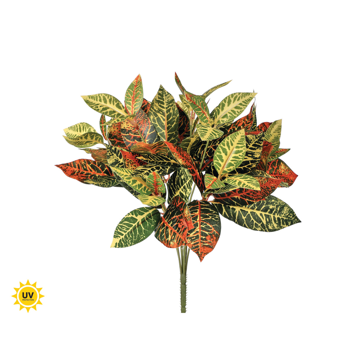 UV Protect Croton Bush