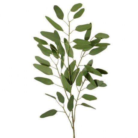 Willow Eucalyptus Spray