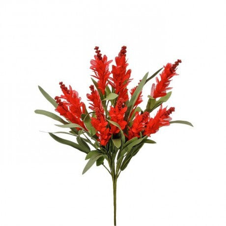 Red Budding Firecracker Salvia Bush