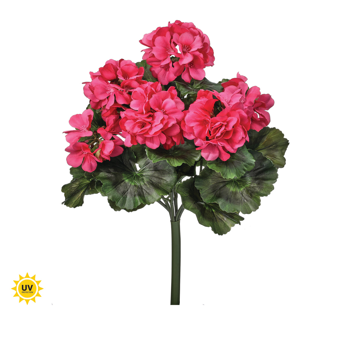 UV Protect Pink Geranium Bush