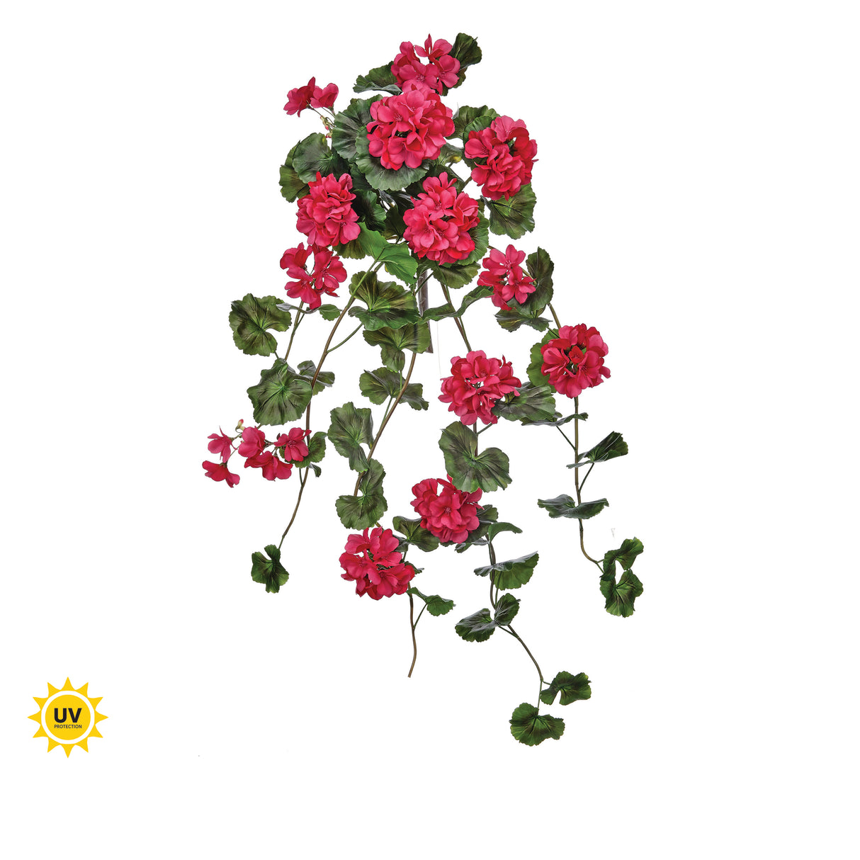 UV Protect Pink Hanging Geranium Plant