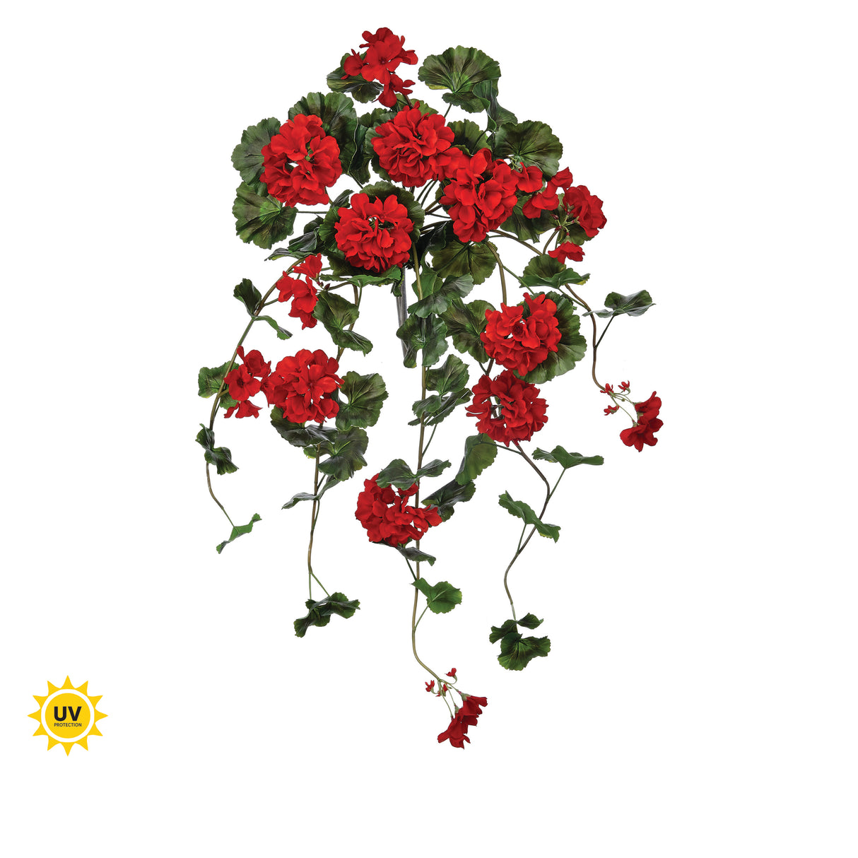 36" UV Protect Red Hanging Geranium Plant