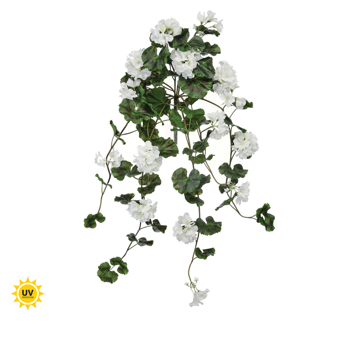 36" UV Protect White Hanging Geranium Plant