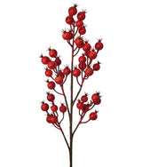 Harvest Red Crabapple Spray