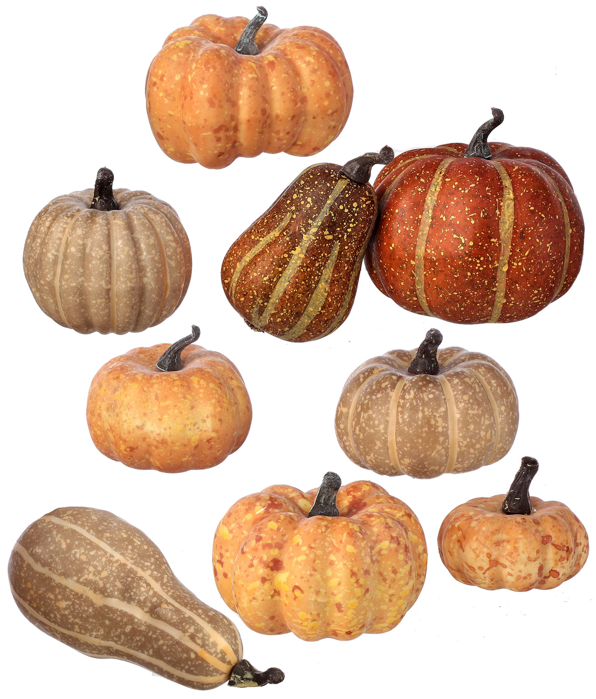 Harvest Mixed Pumpkin Assortment Box