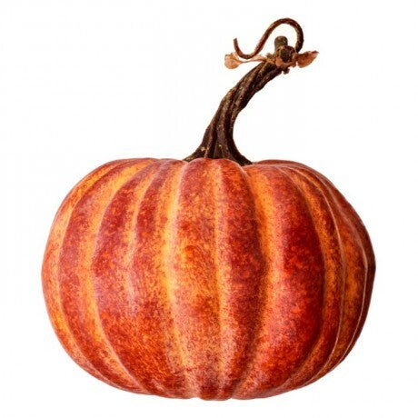 5" Rust Orange Harvest Vine Pumpkin