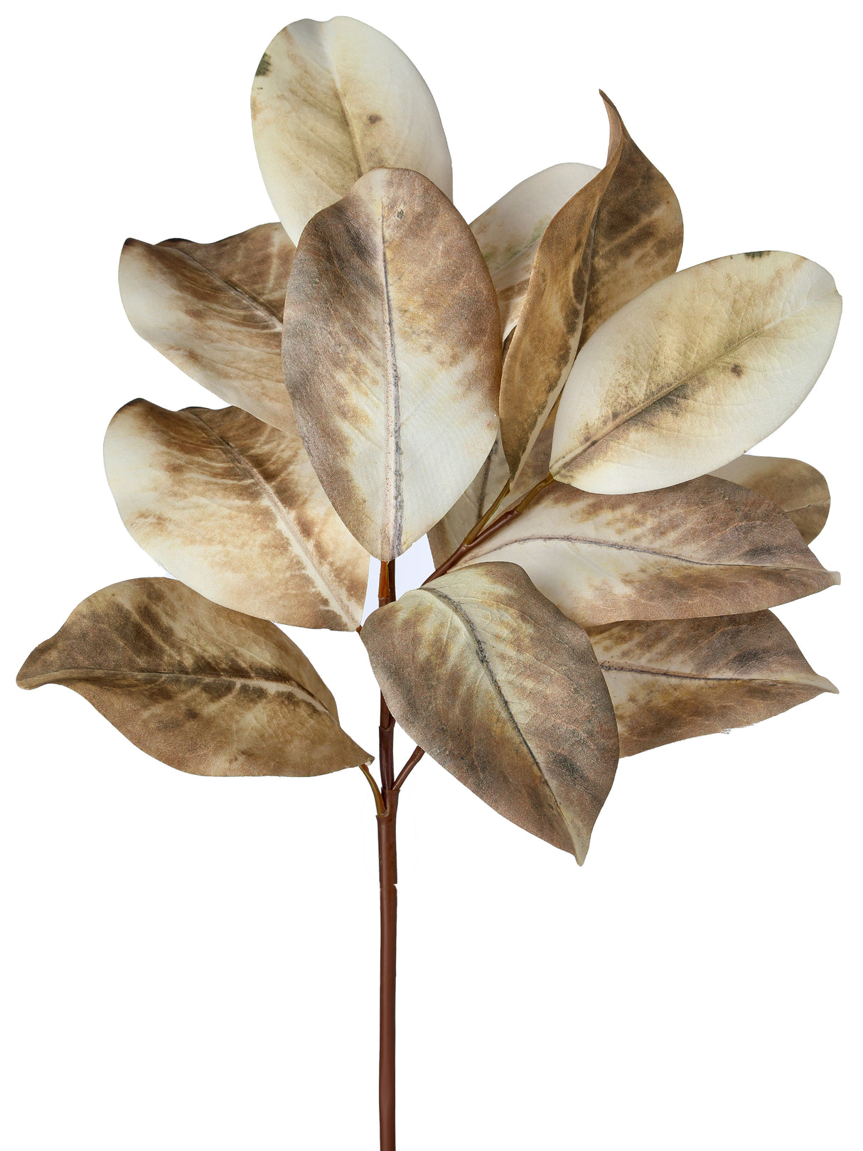 Cream Magnolia Leaf Pick