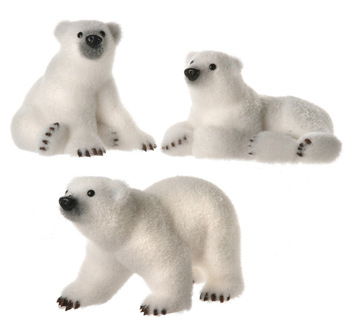 Polar Bear Cubs