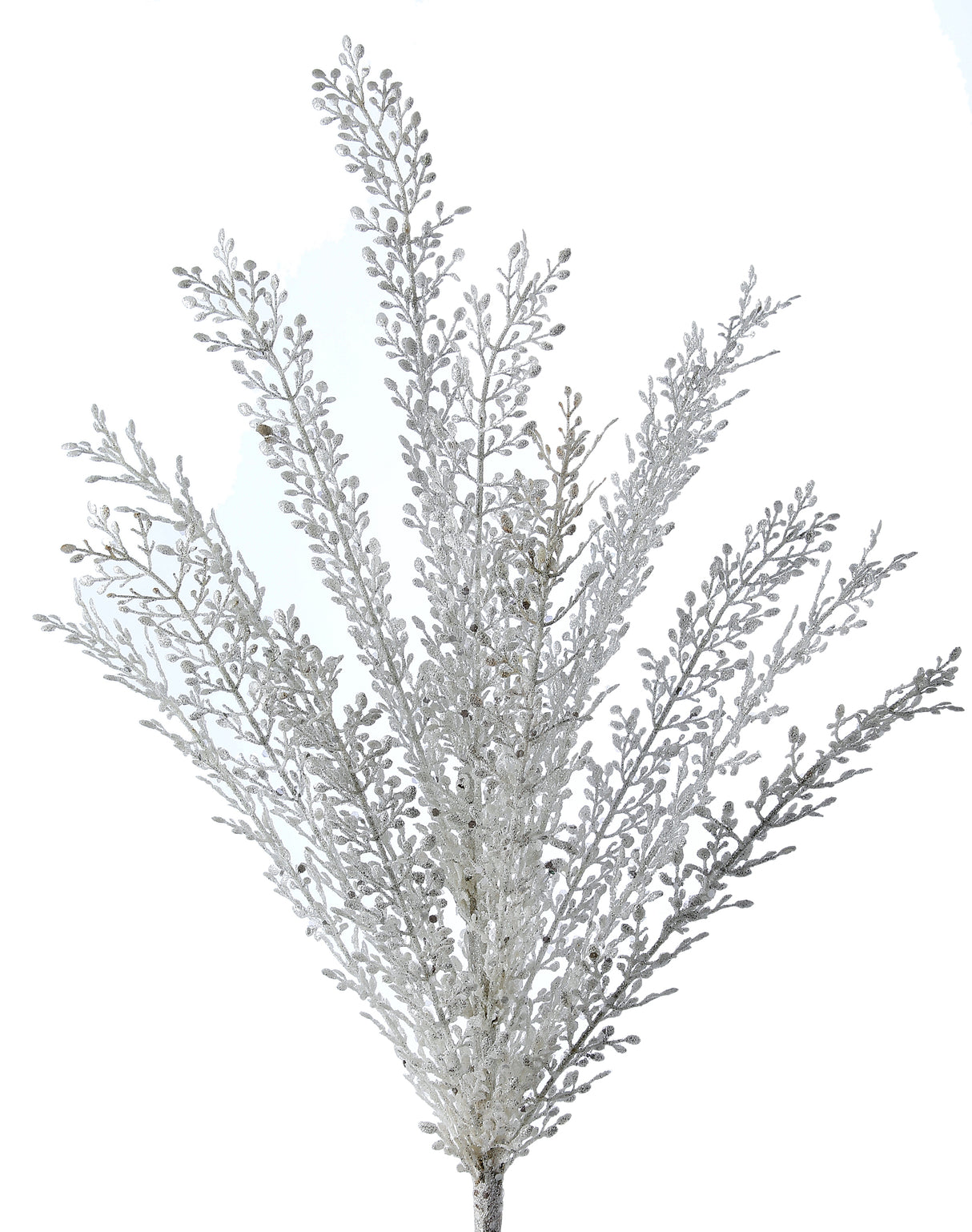 White Sequin Artemesia Bush