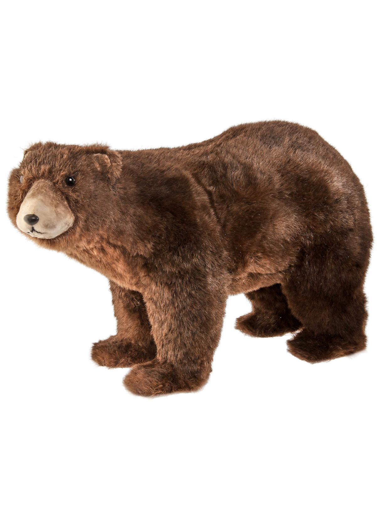 Standing Brown Bear