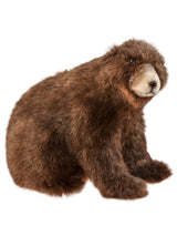 Sitting Brown Bear