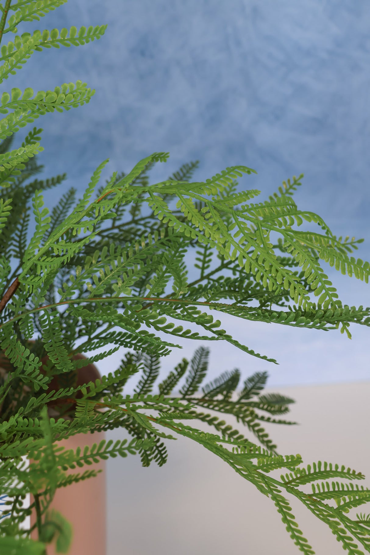 Real Touch Family Time Fern Bush