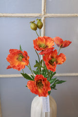 Orange Poppy Multi Spray