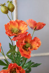 Orange Poppy Multi Spray