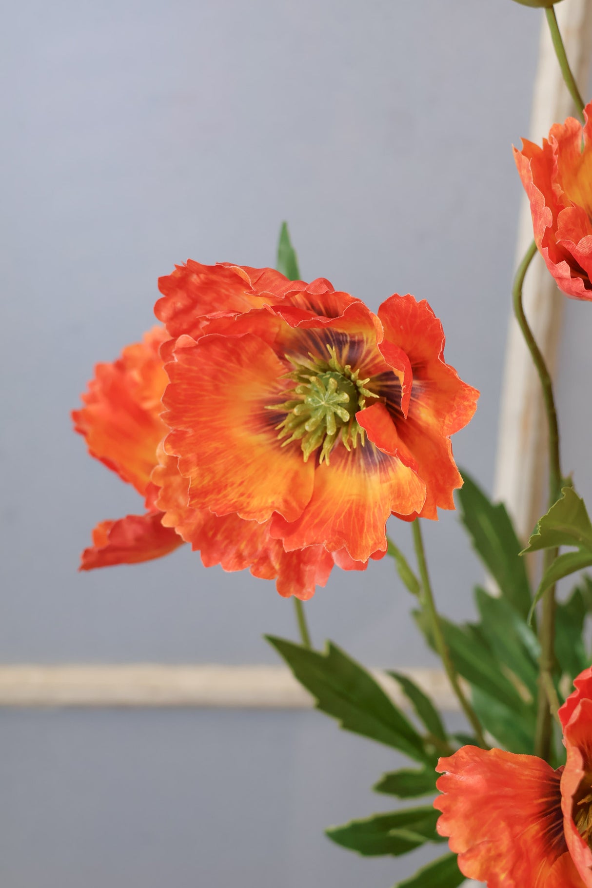 Orange Poppy Multi Spray