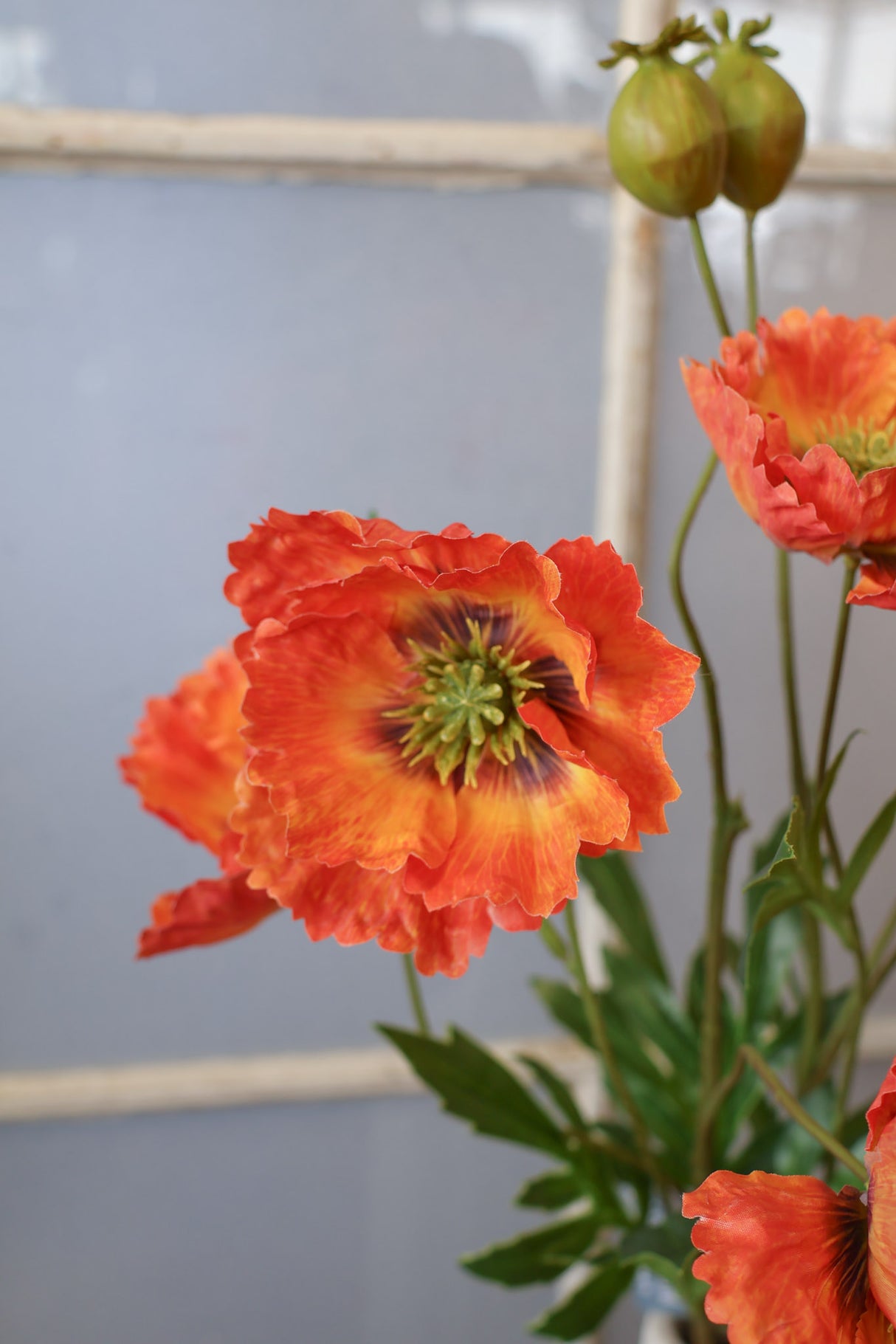 Orange Poppy Multi Spray