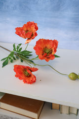 Orange Poppy Multi Spray