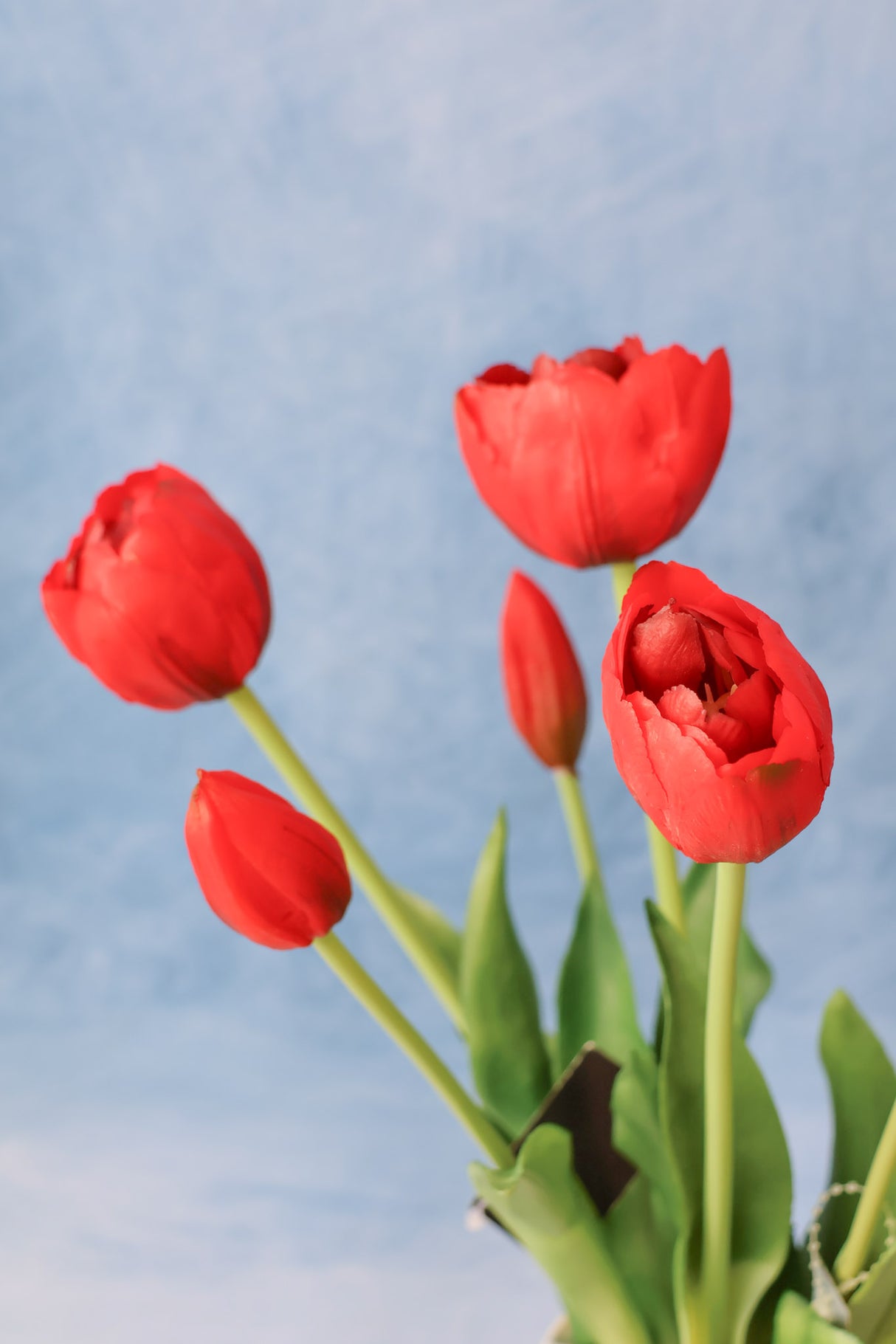 Red Spring Real Touch Tulip Bundle