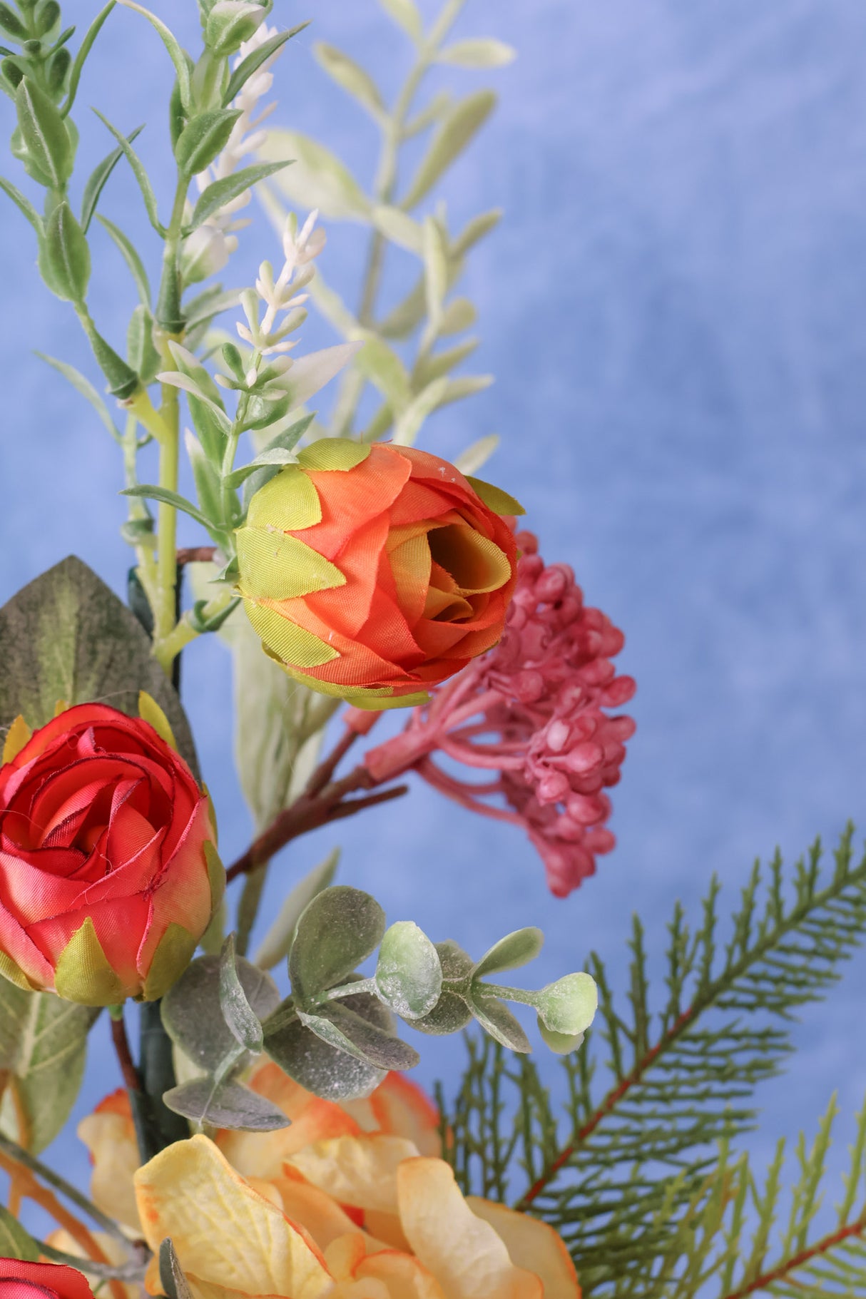 Raina Ranunculus Berry Pick