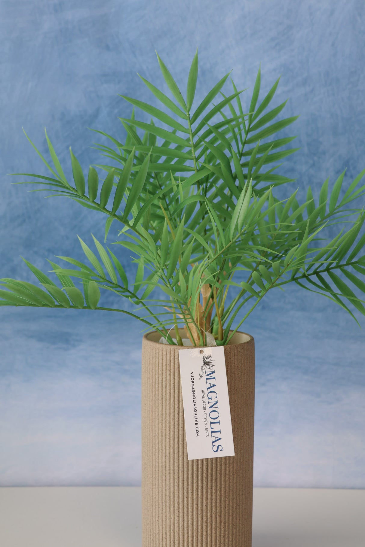 Carpe Diem Palm Bush